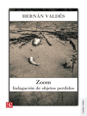 cover image of Zoom